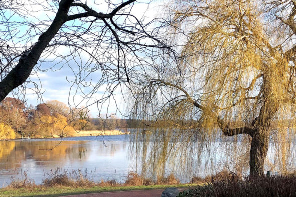 Wohnidylle am Wasser