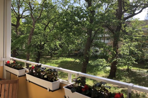 Gemütliche Wohnung im grünen Babelsberg